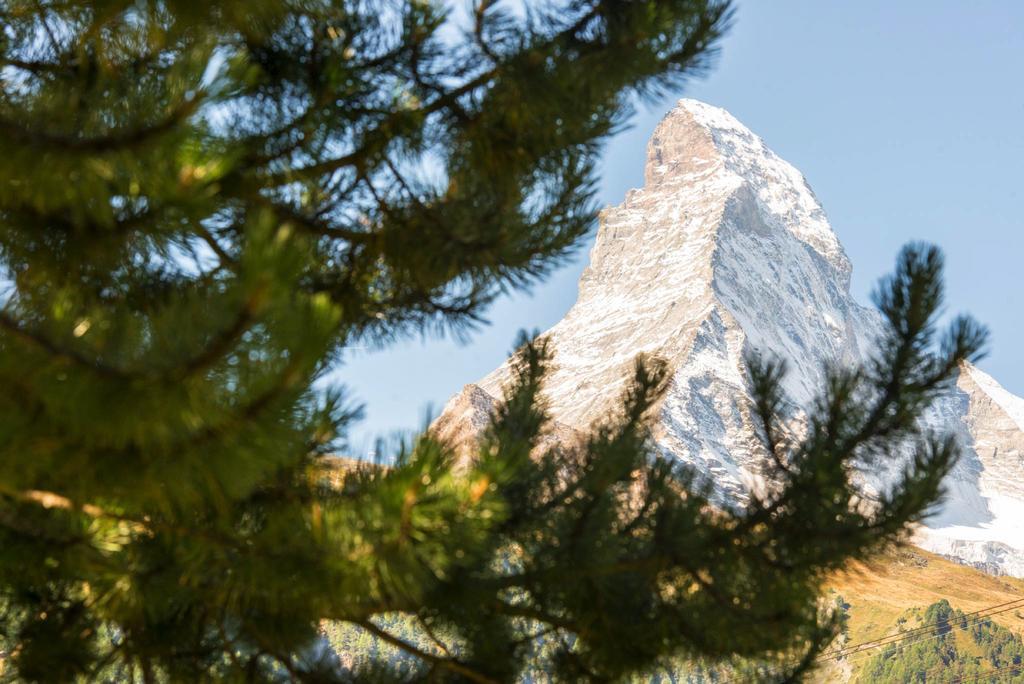 Bed & Breakfast Bijou Zermatt Exterior foto